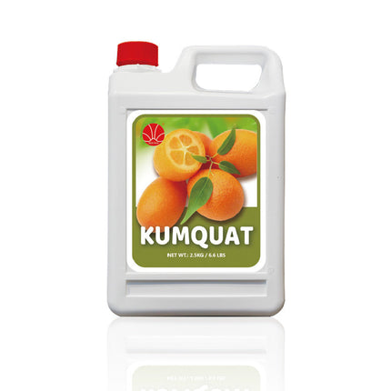[REDSUN] OVAL KUMQUAT SYRUP  ; 5KG / Bot x 4 Bots / Case