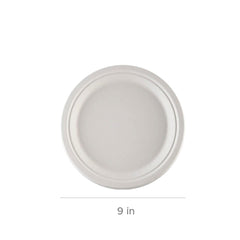 Collection image for: X Sugarcane /  Bagasse Plate - General & Customization